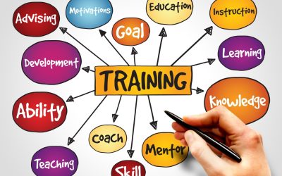 Formation : Le Pilier de la Réussite Professionnelle