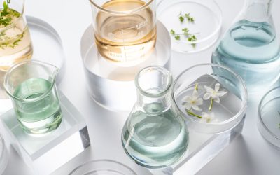Les champignons hallucinogènes : La chimie derrière les visions