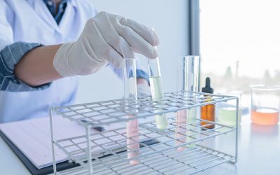 Quand la chimie des émotions impacte… vos relations amoureuses!
