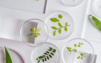Chimie du Futur : Alchimie ou Réalité ?