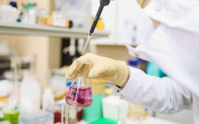 La chimie du bonheur : comment nos émotions sont manipulées