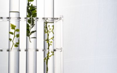 Chimie verte : révolution ou simple battage médiatique ?
