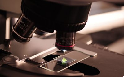 Les mystères chimiques derrière la fabrication des parfums les plus rares au monde