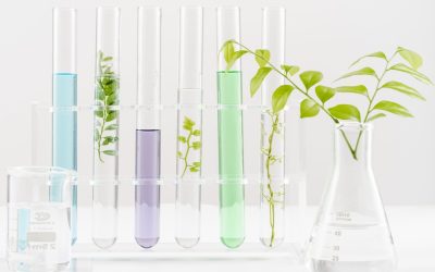 Les Secrets Alchimiques de Notre Quotidien : La Chimie dans les Produits Domestiques
