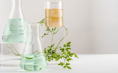 La chimie des couleurs : décryptage des feux d’artifice