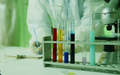 La chimie qui change notre rapport au temps : l’horloge moléculaire de la longévité